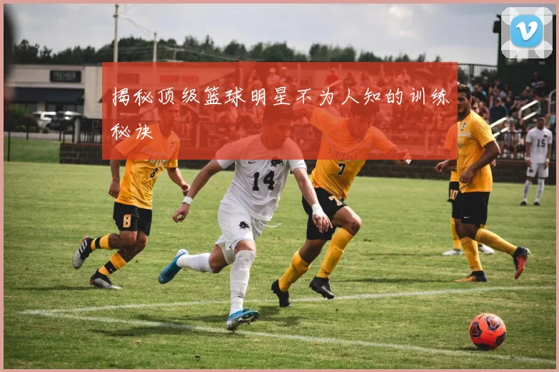 揭秘顶级篮球明星不为人知的训练秘诀
