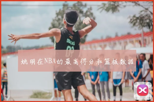 姚明在NBA的最高得分和篮板数据