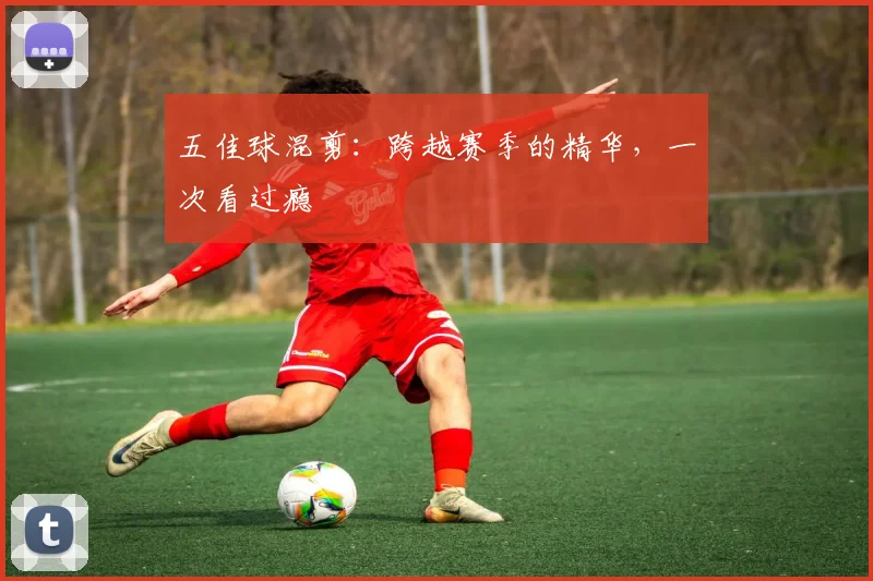 五佳球混剪：跨越赛季的精华，一次看过瘾
